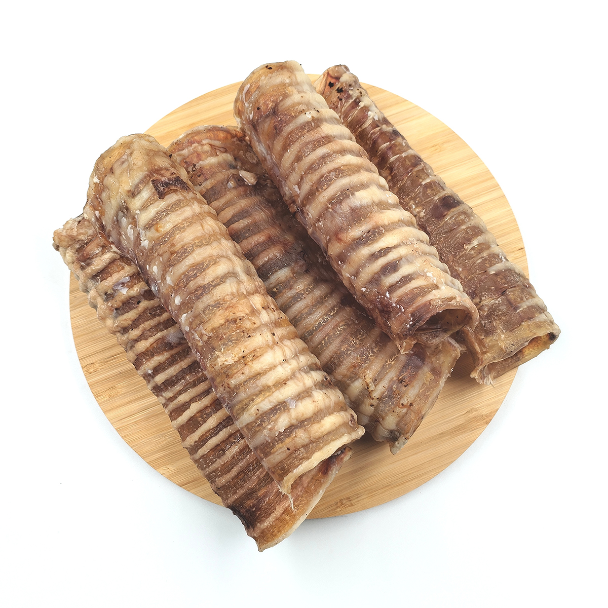 traheya-govyazhya-trubka